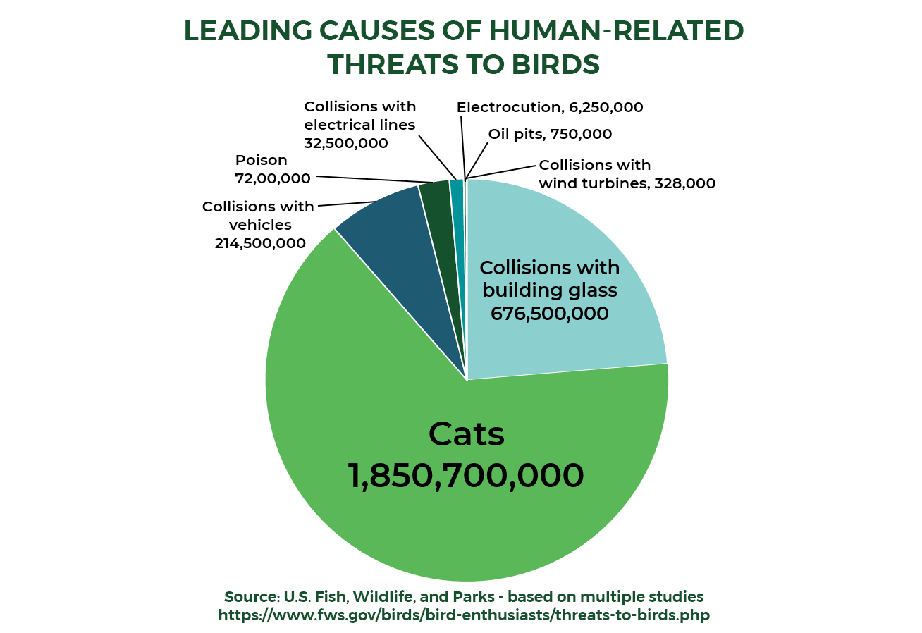 Leading causes of human-related threats to birds: Domestic cats are the biggest source of mortality, followed by collisions with building glass and collisions with vehicles. Graphic: NYC Bird Alliance
