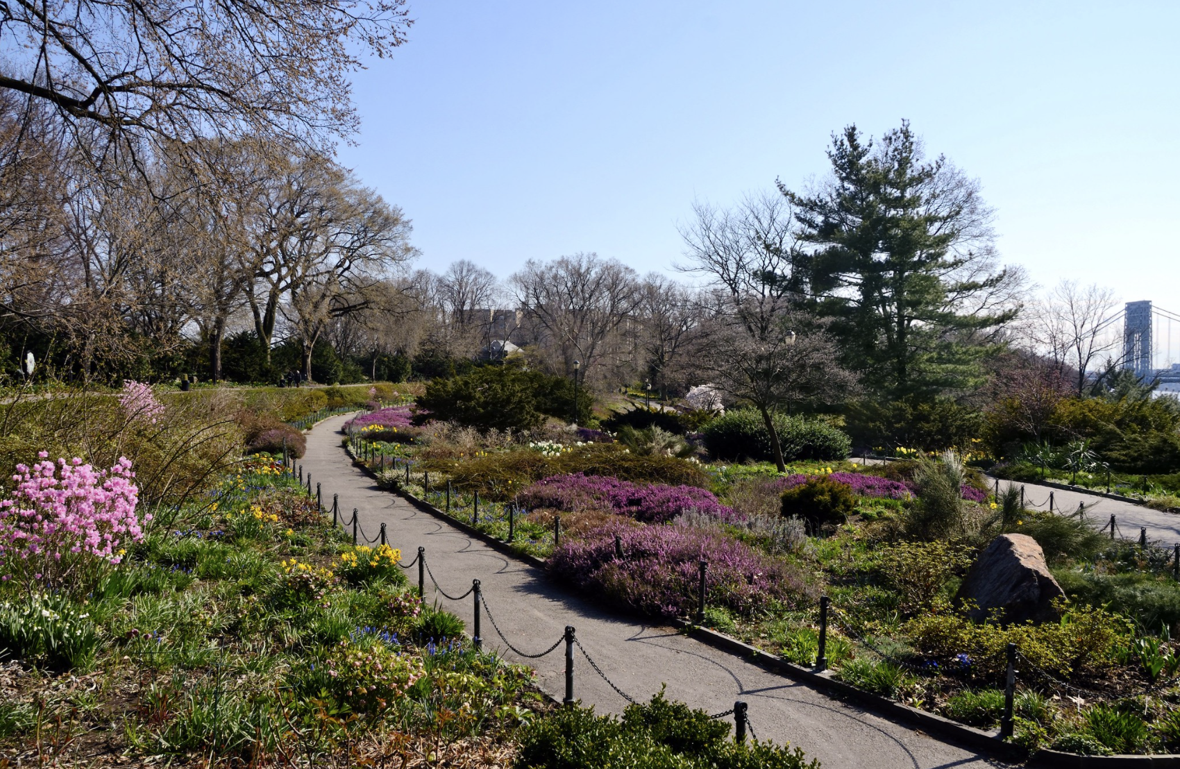 Fort Tryon Park’s Heather Garden. Photo: Edward Crimmins