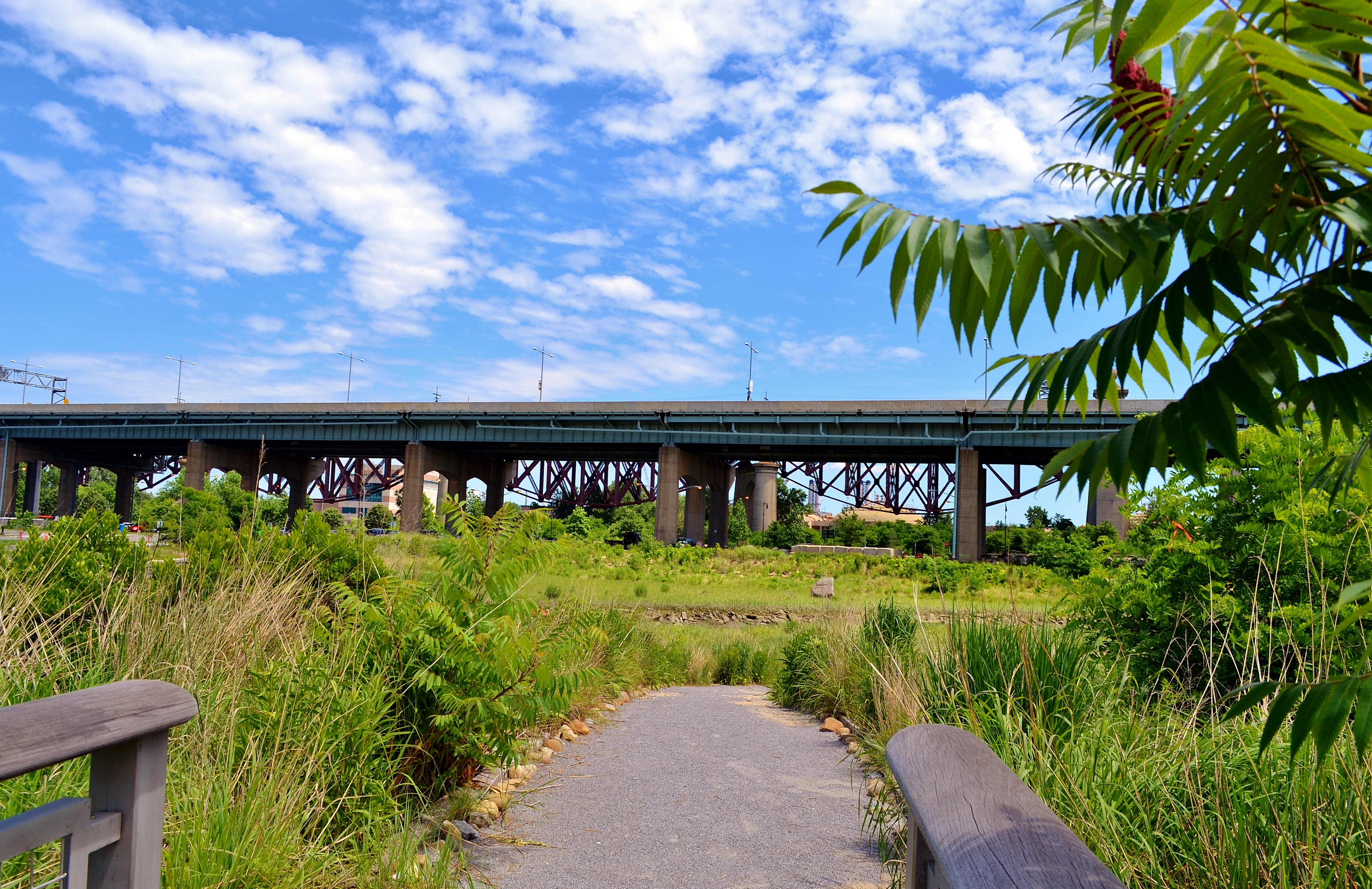 The marshes of Randall’s Island attract many species of waterbirds year-round. Photo: <a href=\"https://www.flickr.com/photos/76807015@N03/\" target=\"_blank\">Gigi Altarejos</a>