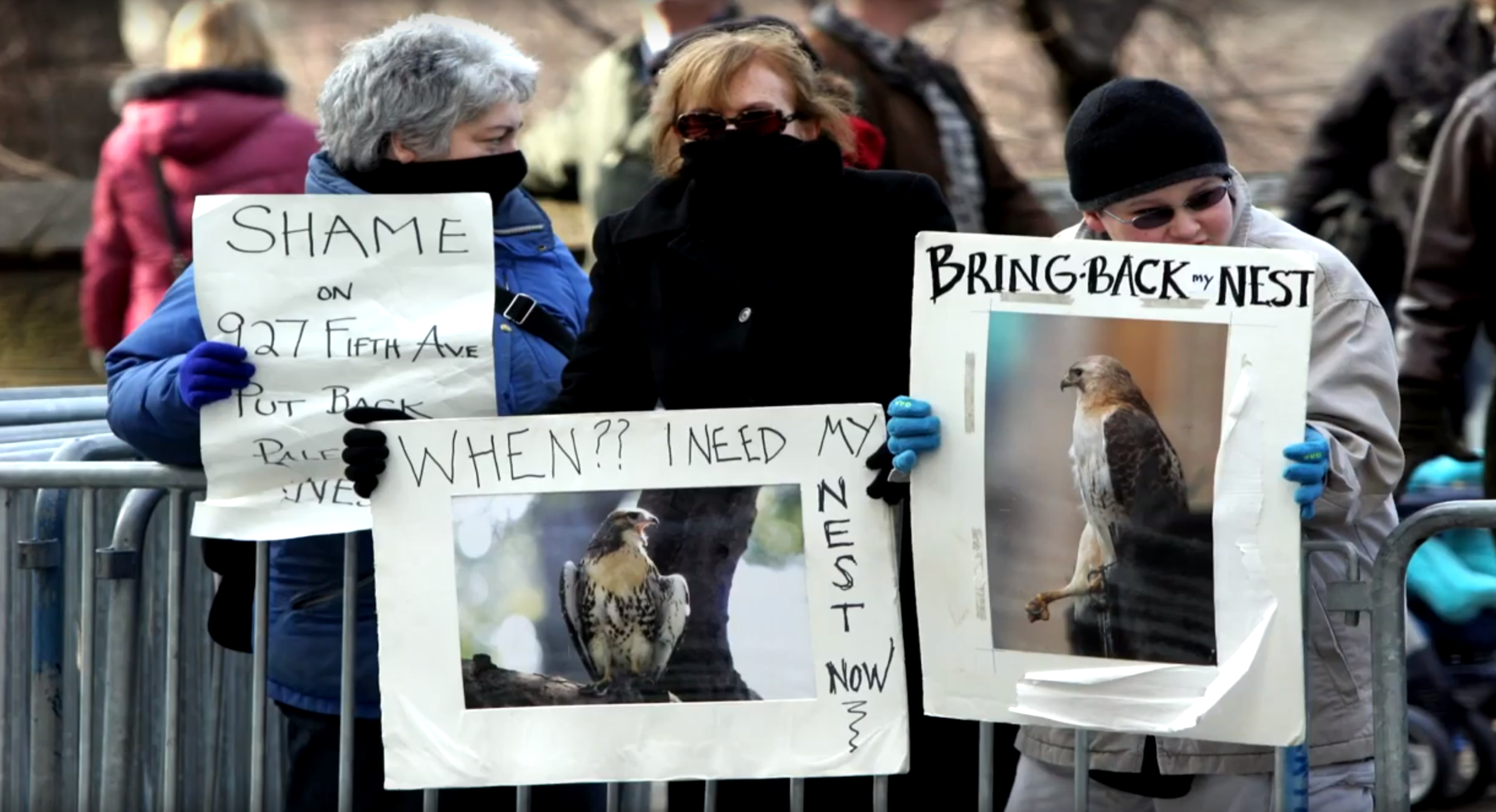 Protestors defend the interests of Pale Male and Lola, December 2004. Photo: NYC Bird Alliance