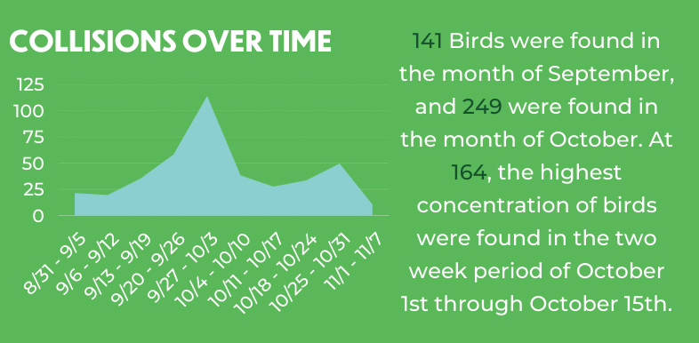 Weekly collisions recorded during fall 2020 PSF season. Chart: NYC Bird Alliance