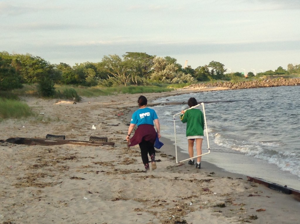 Horseshoe Crab monitoring volunteers use quadrat sampling rectangles to collect standardized data at locations separated by vast distances along the beaches. Photo: Andrew Martin