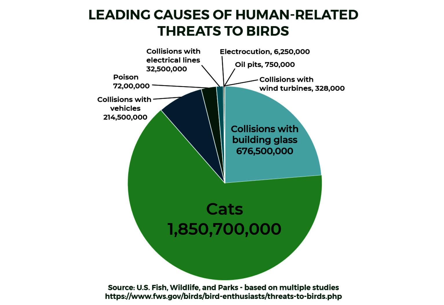 Leading causes of human-related threats to birds: Domestic cats are the biggest source of mortality, followed by collisions with building glass and collisions with vehicles. Graphic: NYC Bird Alliance