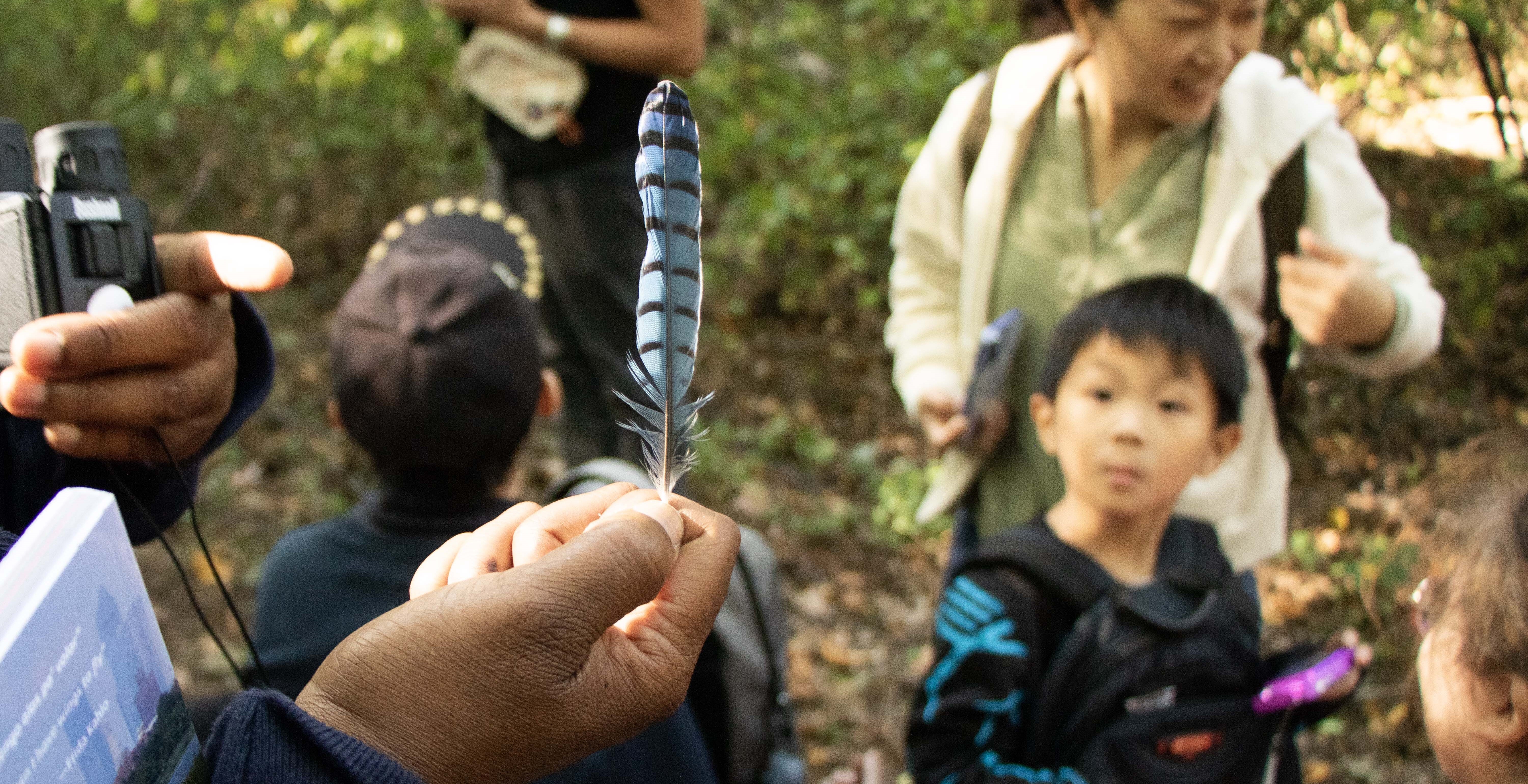 A blue feather held by vertically by an anonymous hand with a young boy in the background, staring in wonder. Photo by Oliver Lopez, a bird guide for NYC Bird Alliance.