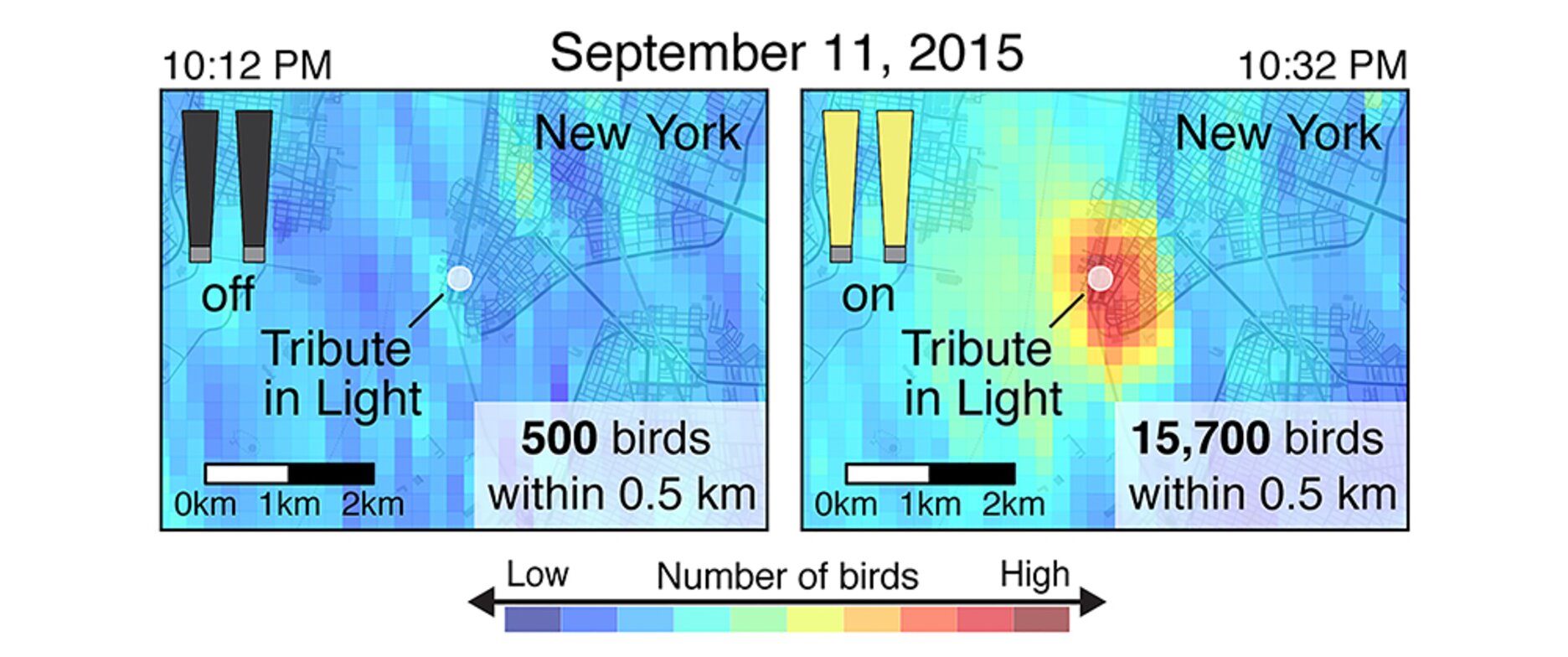 When the Tribute in Light 2015 lights were turned off, at left, little bird density was detected by radar. In contrast, the concentration in the lit beams shown at right, estimated at 15,700 Birds, was staggering. Photo: Cornell Lab of Ornithology