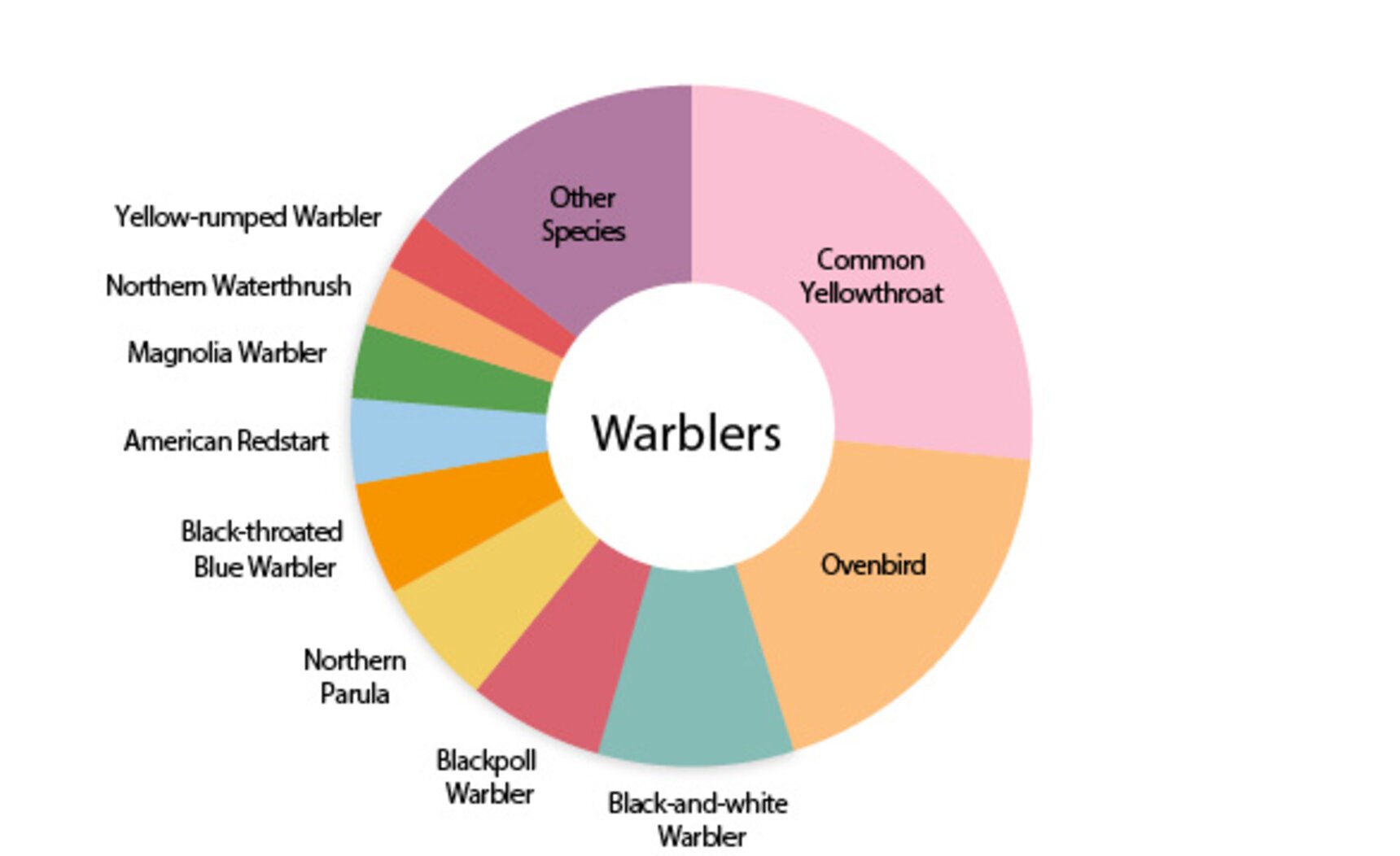 Warbler collision victims in New York City since 1997, by species. Graphic: NYC Bird Alliance