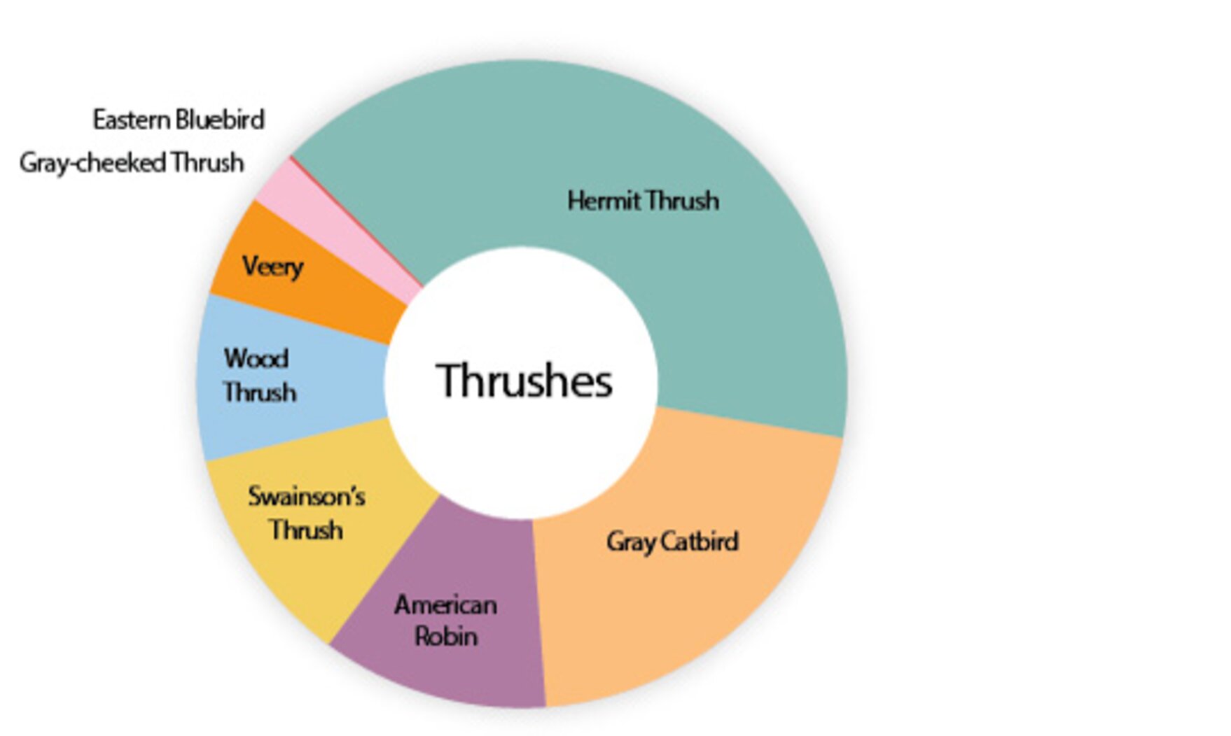 Thrush collision victims in New York City since 1997, by species. Graphic: NYC Bird Alliance