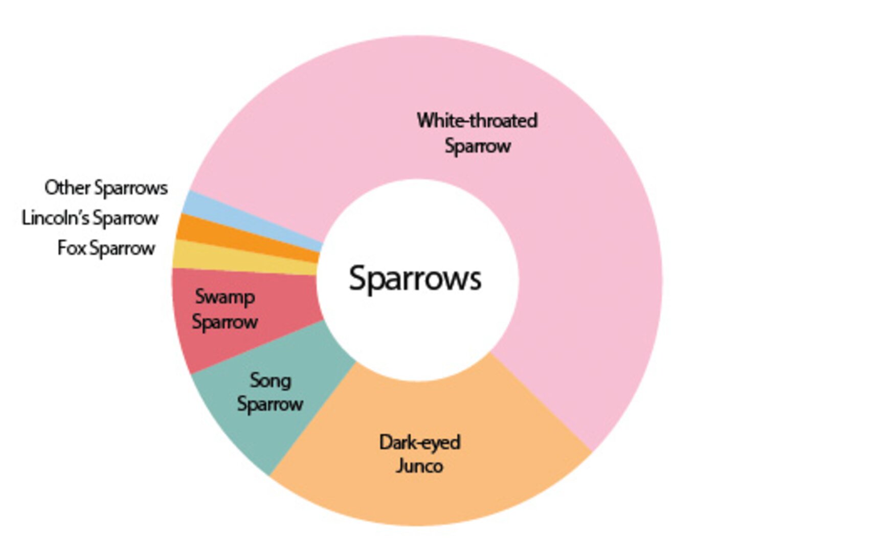 Sparrow collision victims in New York City since 1997, by species. Graphic: NYC Bird Alliance