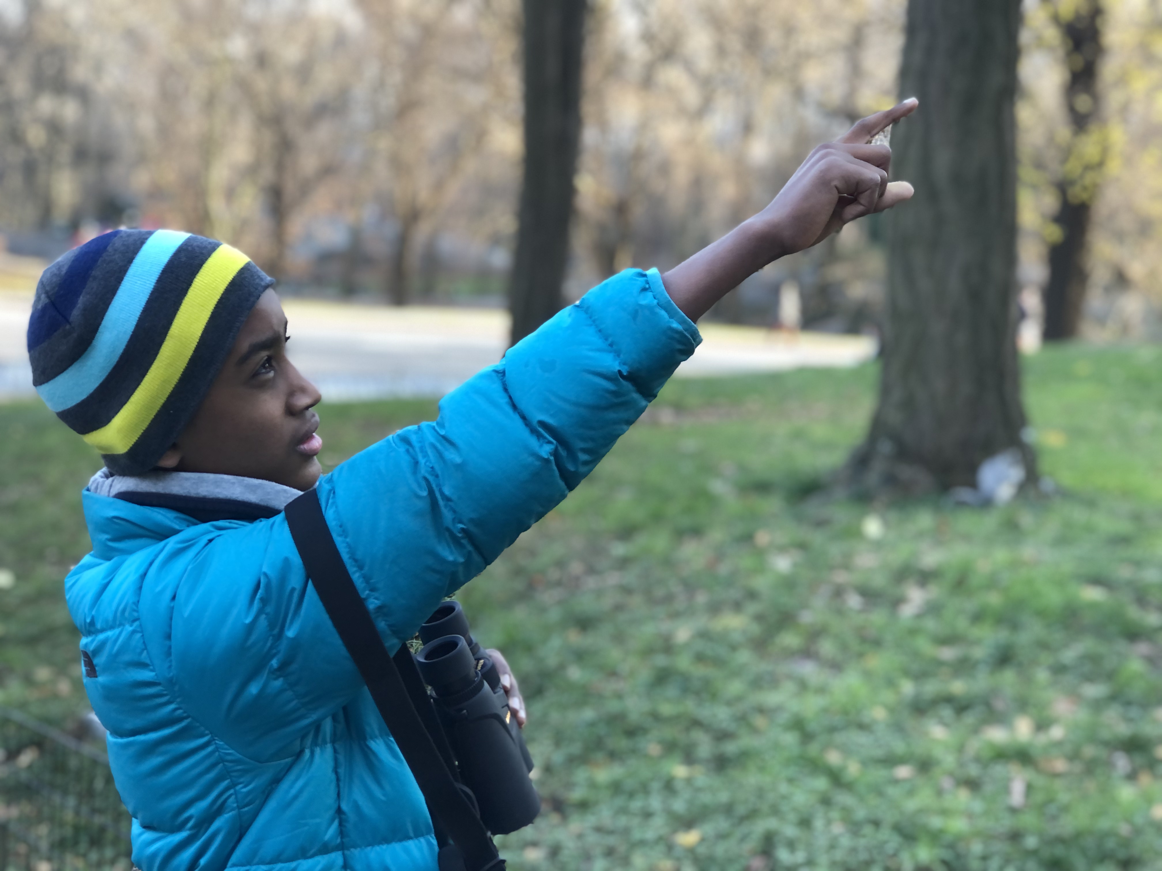 Tam Gavenas became a NYC Bird Alliance KIDS Member as soon as he could: he received his member certificate as a present on his eighth birthday. Photo: M. Gavenas