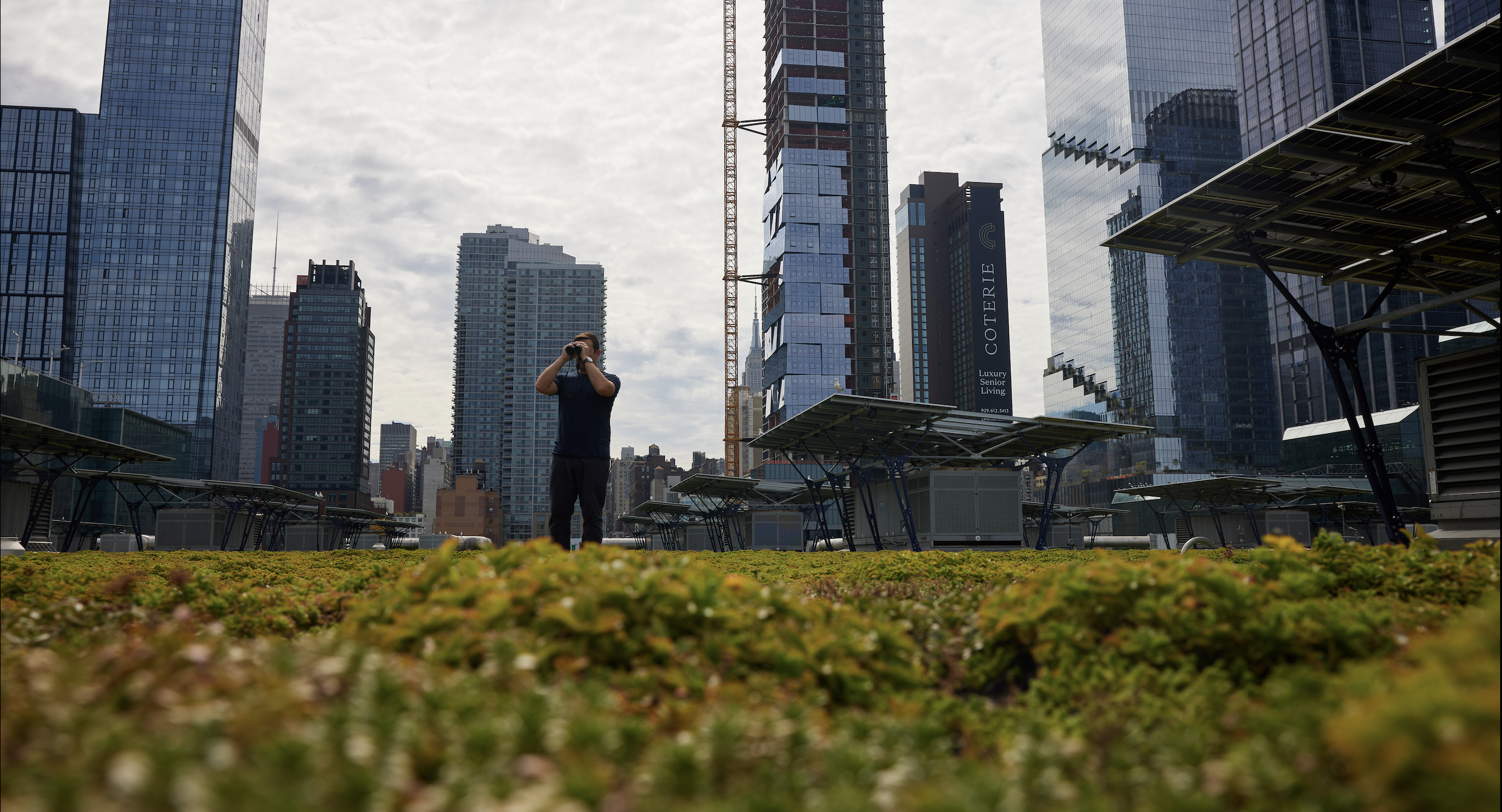 Dr. Dustin Partridge, Director of Conservation and Science, atop the Javits Green Roof. Photo by Argenis Apolinario.