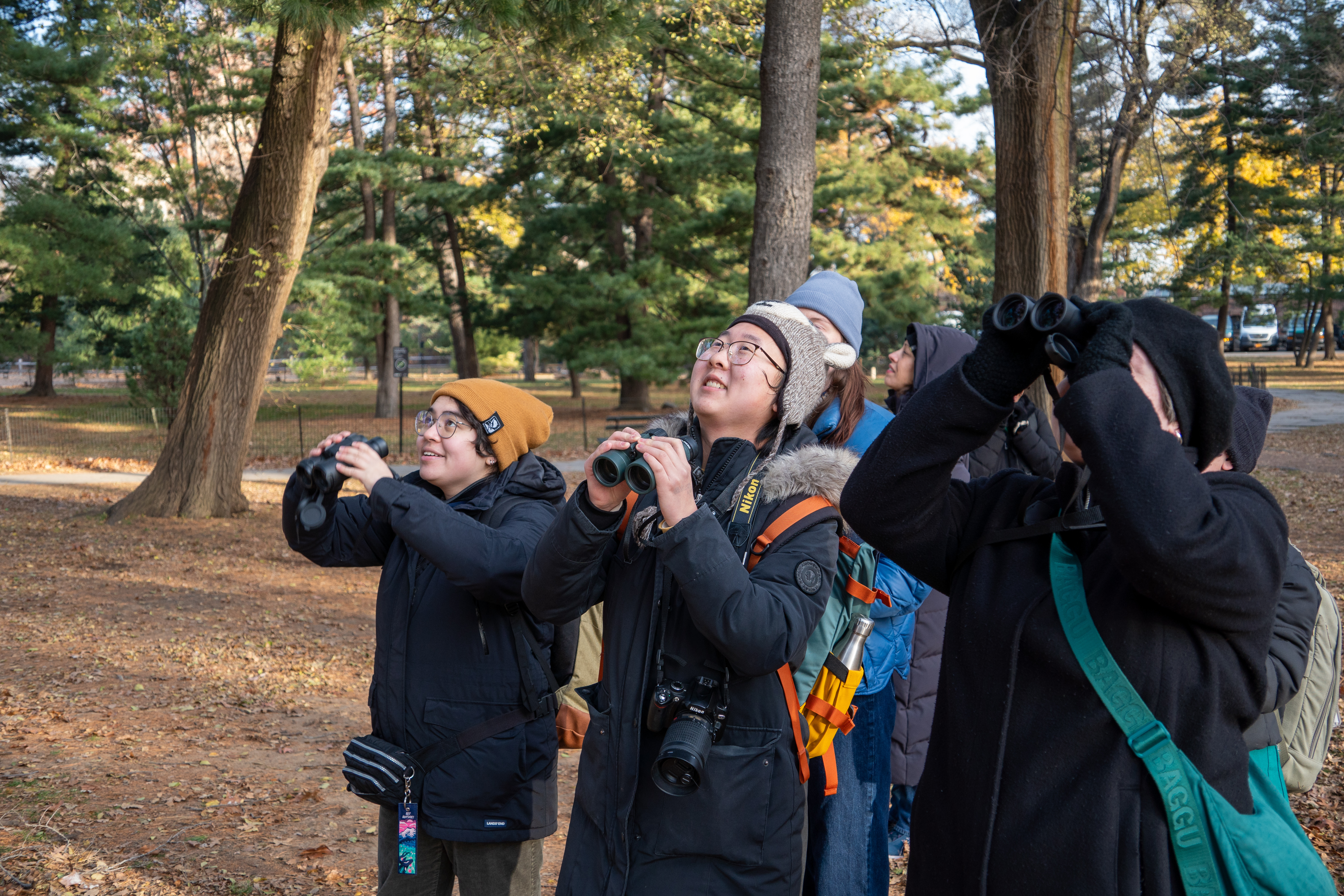 Christmas Bird Count volunteers tally birds at the Great Lawn in Central Park on Dec 15, 2024. Photo: NYC Bird Alliance