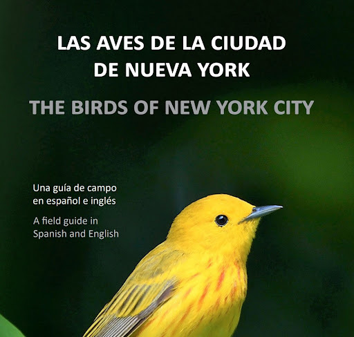 The cover of Las Aves de la Ciudad de Nueva York, published in 2023. Reinita de Manglar/Yellow Warbler photo: César A. Castillo