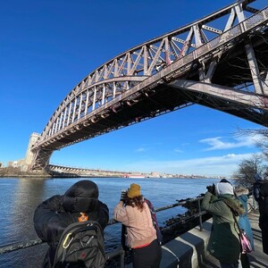 "Weird Duck Spotting" Outing in Astoria Park led by NYC Bird Alliance Guide Lily Mastrodimos in winter. Photo: Lily Mastrodimos