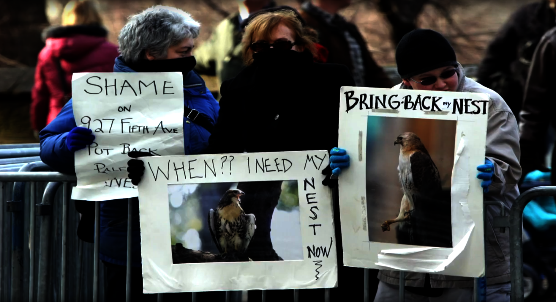 Protestors defend the interests of Pale Male and Lola, December 2004. Photo: NYC Bird Alliance