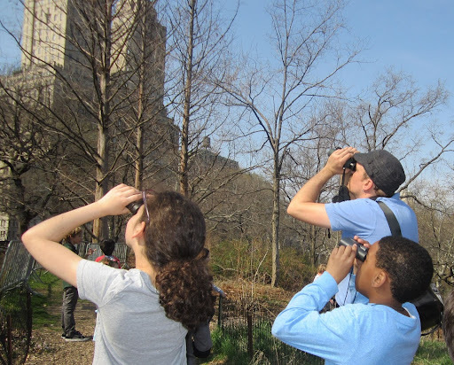 A free bird outing led by Gabriel Willow in Central Park. Photo: NYC Bird Alliance