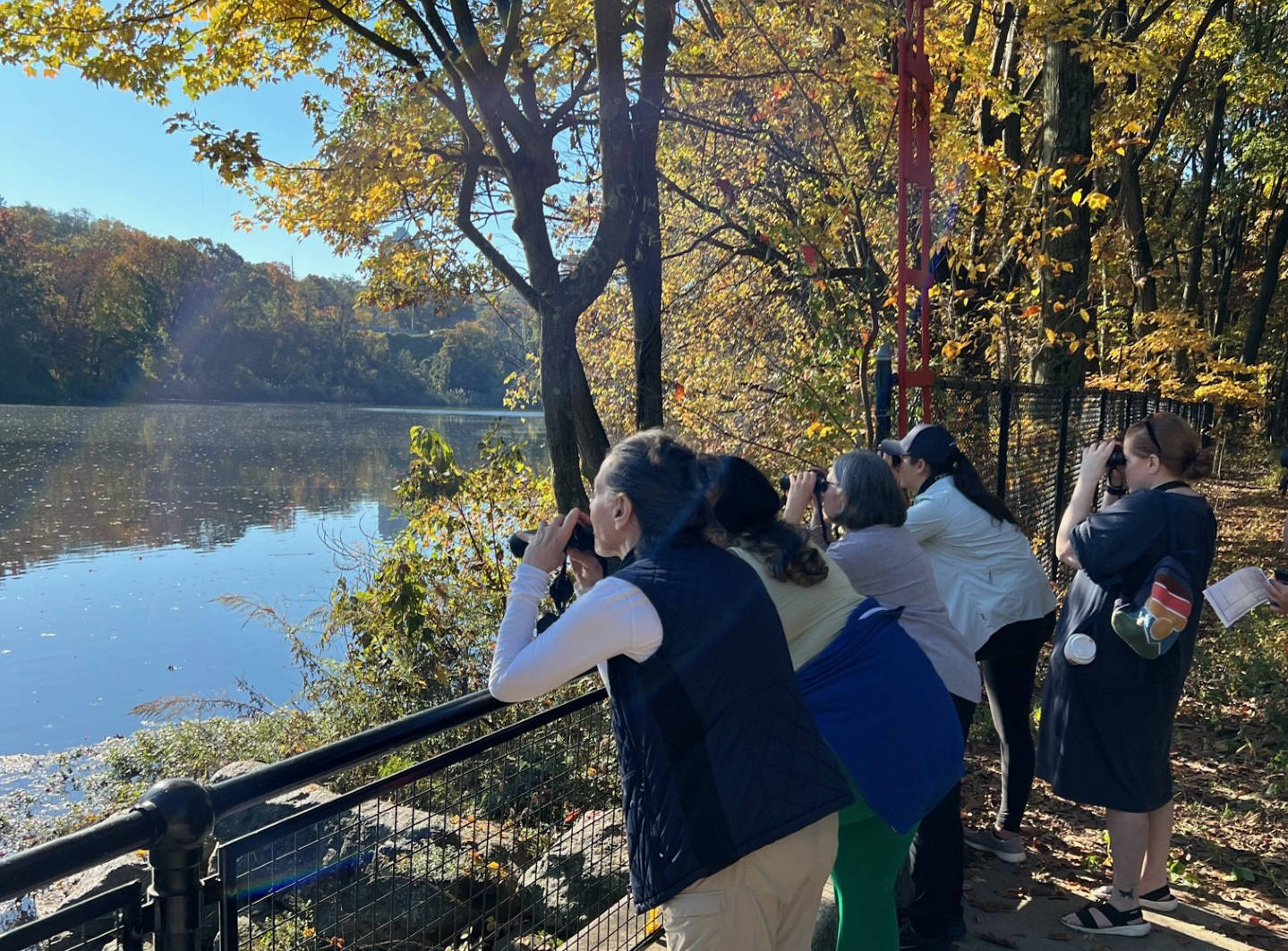 Van Cortlandt Park Birding with Woo Sung Park. Photo: Woo Sung Park