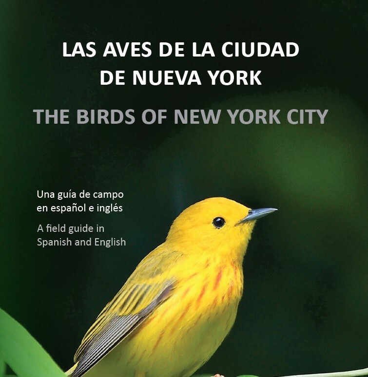 Foto de portada: Reinita de Manglar por César A. Castillo / Cover photo: Yellow Warbler by César A. Castillo