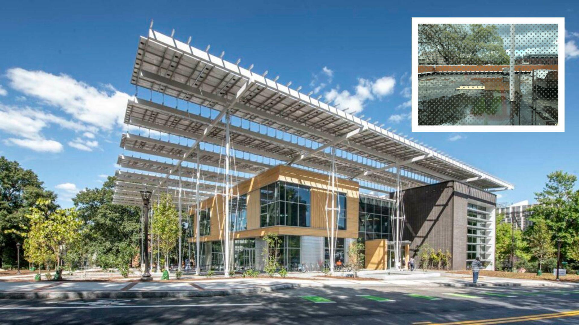 What began as a class project has grown into a national community-science platform that has inspired bird-safe action across the country, such as the Trees Atlanta Treehouse, which was designed with bird-safe glass and opened in 2023. Photo: Trees Atlanta