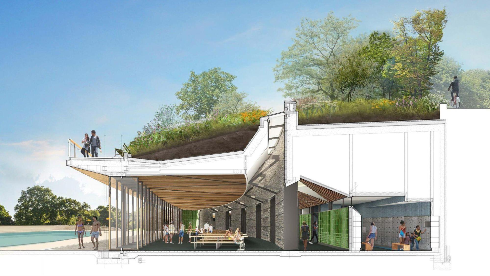 With its green roof, planted with native grasses and trees, and bird-safe glass, the Davis Center is a model of what can be done to fit in with wildlife. Rendering: Susan T Rodriguez | Architecture • Design, provided by Central Park Conservancy.
