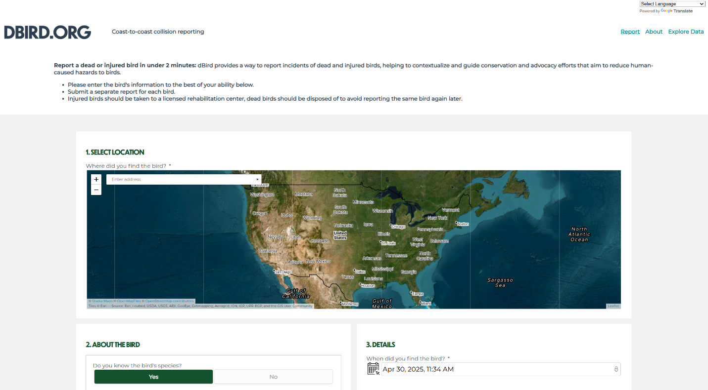 While initially conceived as a NYC-specific reporting tool, people across the country—even across the globe as far as China—were finding the tool and using it to report collisions. Graphic: dBird.org