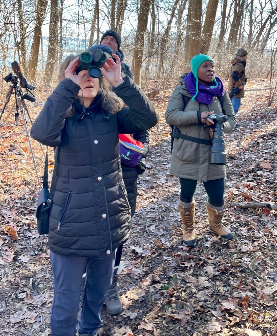 Pelham Bay Park Birding with NYC Bird Alliance. PhotoJack Rothman