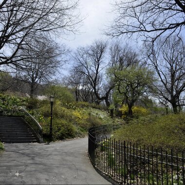 The habitat landscaping of Riverside Park has attracted over 170 species of migrating birds. Photo: Eddie Crimmins