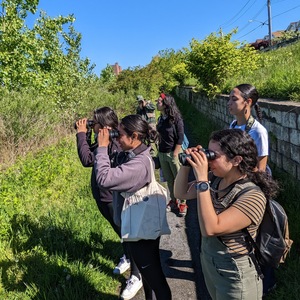 Bilingual Birding at Pugsley Creek Park, May 2023. Photo: NYC Bird Alliance