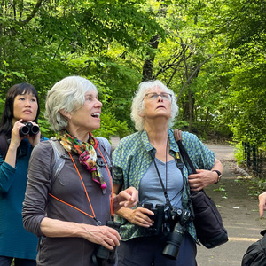 Tom Stephenson, NYC Bird Alliance advisory council member and author of "The Warbler Guide," explains how to look for warblers during members event in Central Park. Photo: NYC Bird Alliance