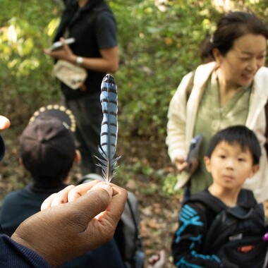 Bilingual Birding at Alley Pond Park, World Migratory Bird Day. Photo: Oliver Lopez