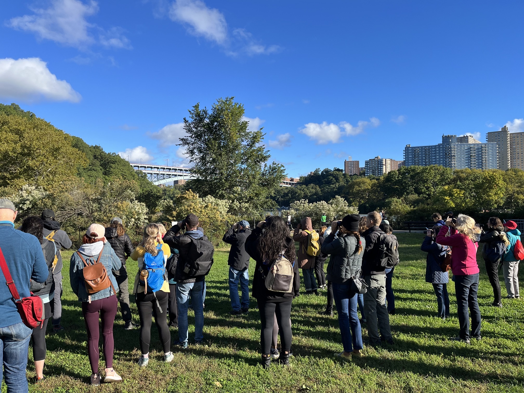 World Migratory Bird Day Outing with the Natural Areas Conservancy at Inwood Hill Park. Photo: Tessa O'Connell