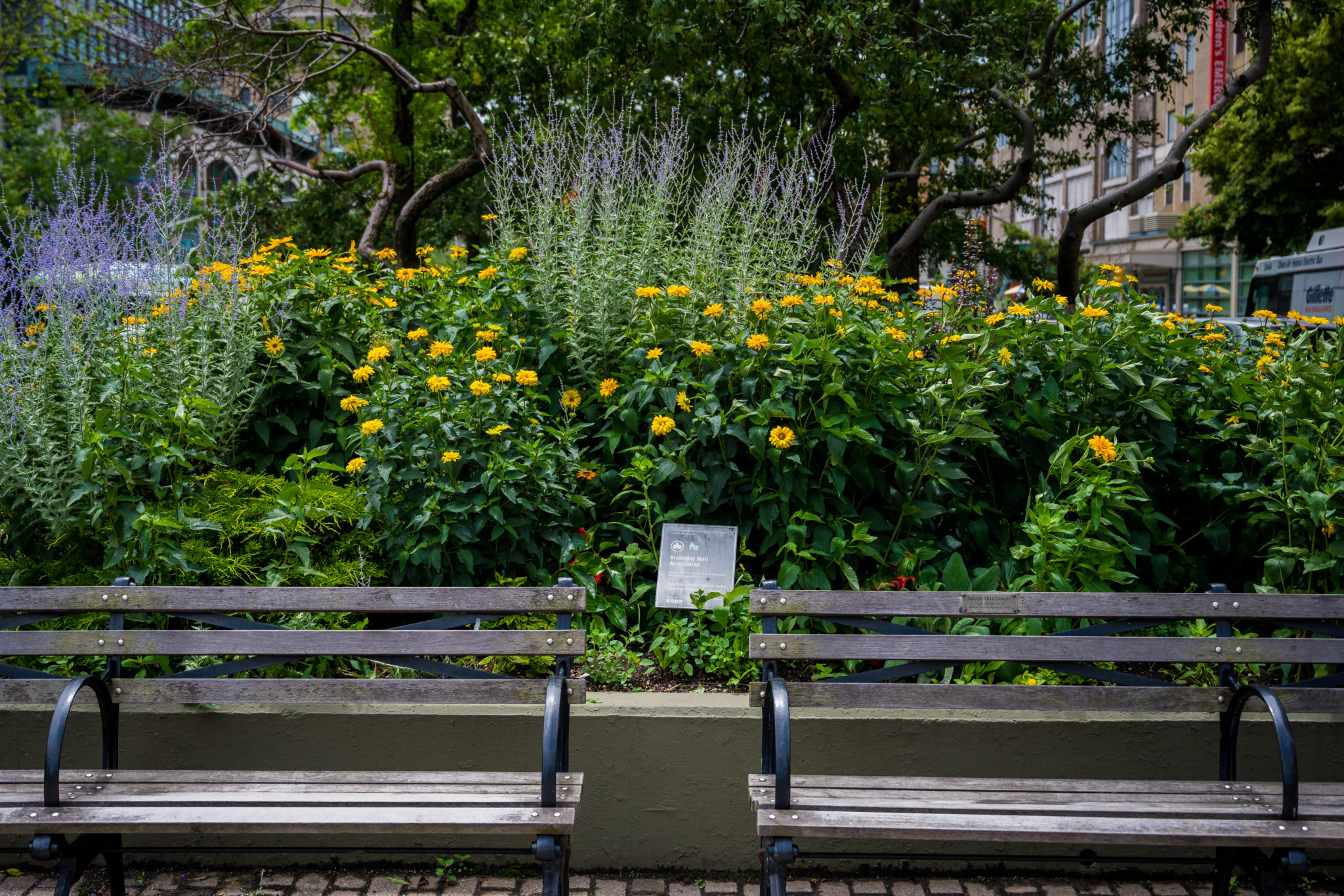Broadway Mall. Photo by June Chase Guttman