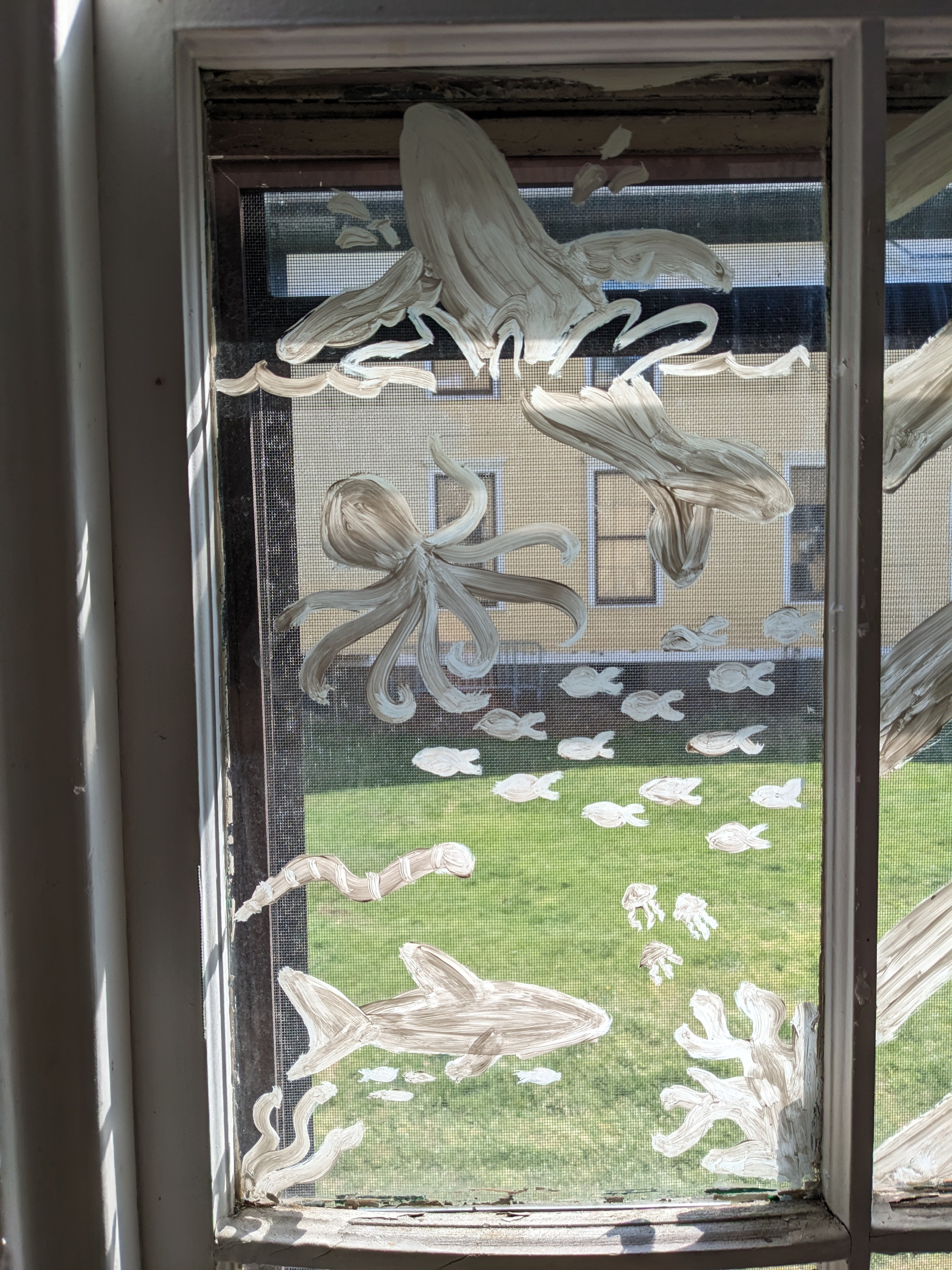 An image of a window pane of NYC Bird Alliance's former seasonal nature center on Governors Island. It is decorated with images of marine life using acrylic paint.