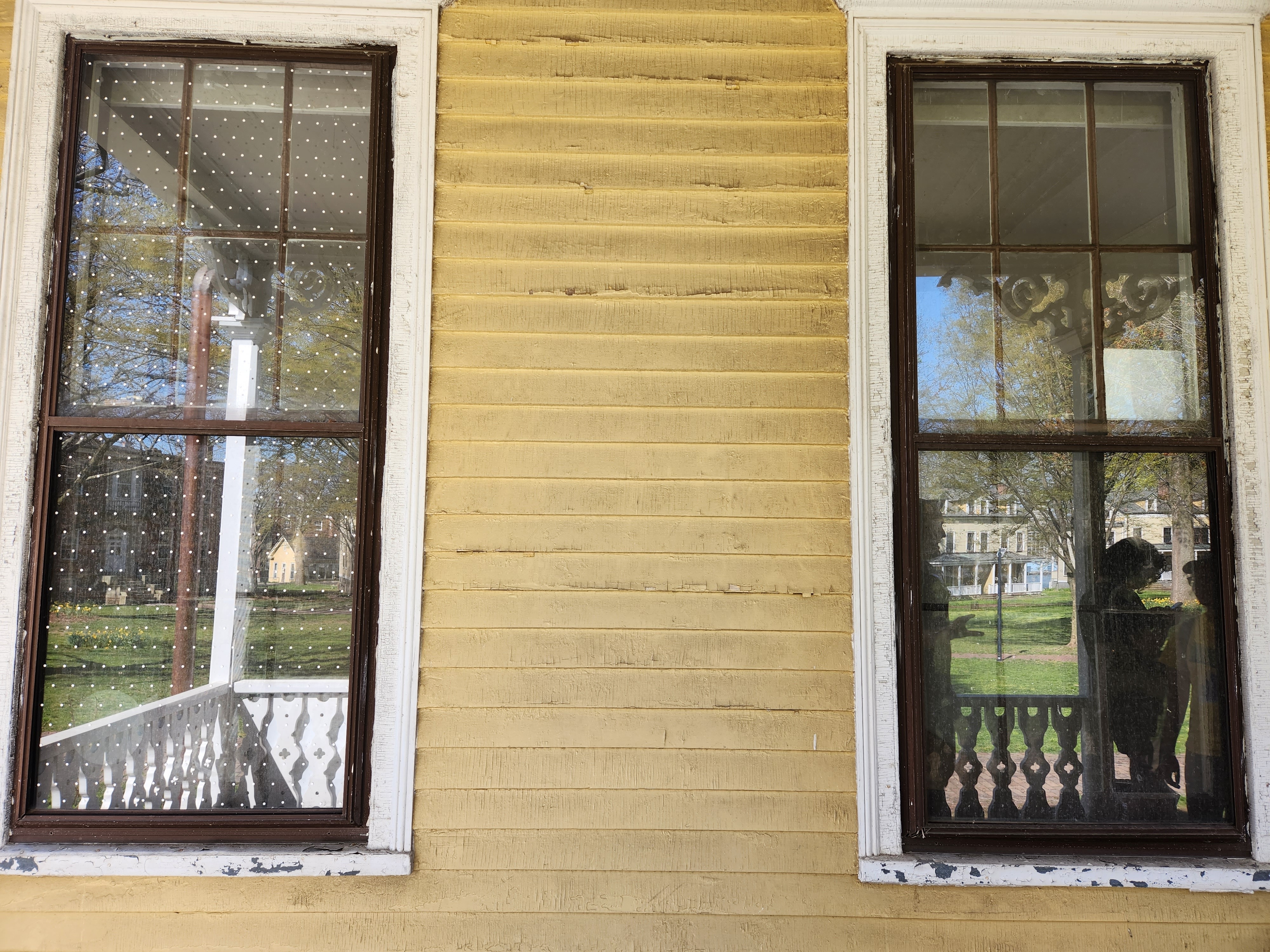 An image of two windows of NYC Bird Alliance's former seasonal nature center on Governors Island's Nolan Park treated by window film.