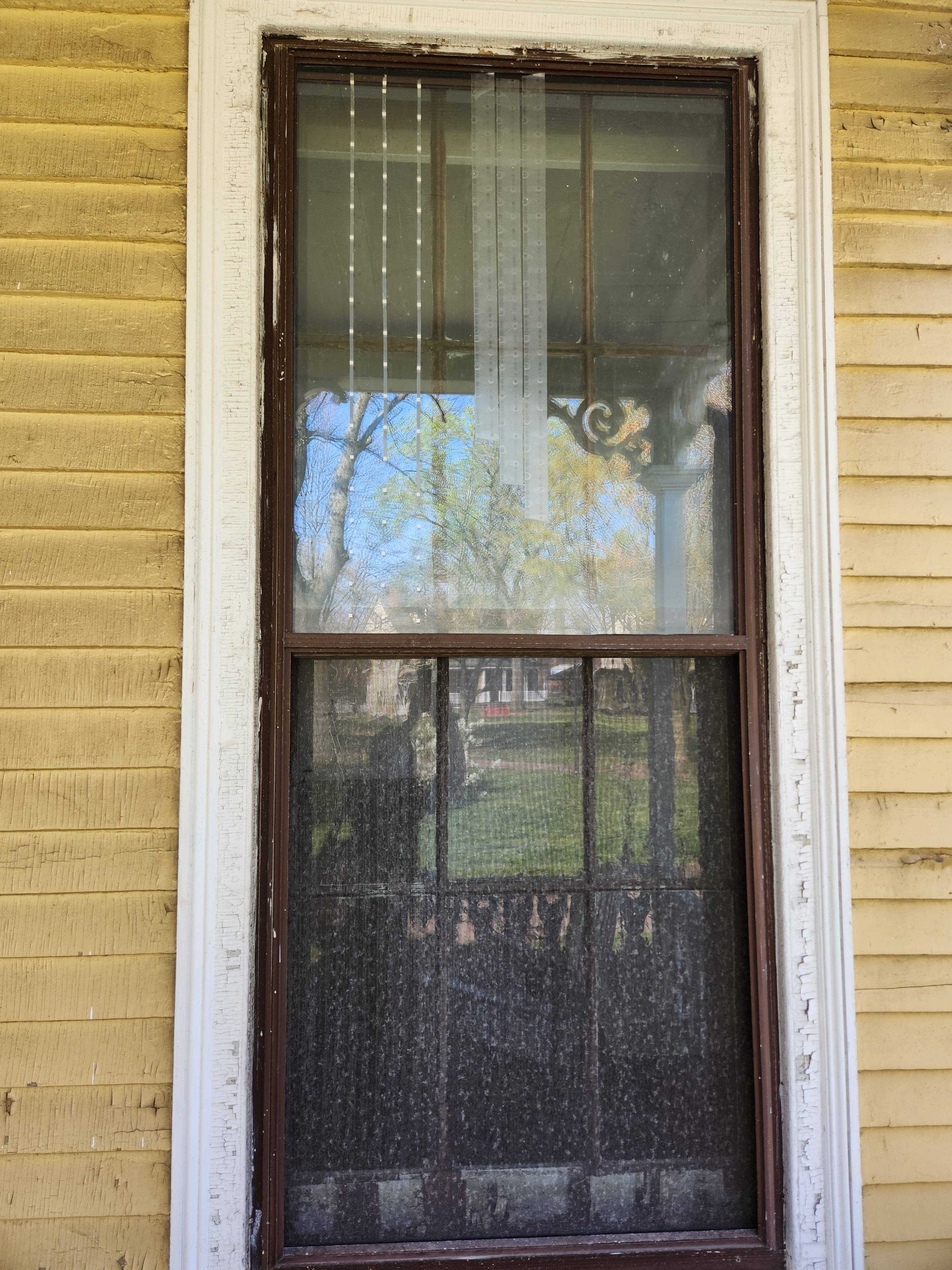 An image of a window of NYC Bird Alliance's former seasonal nature center on Governors Island's Nolan Park treated by window tape.