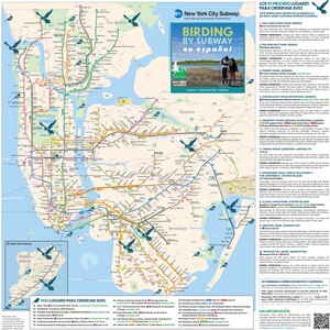 Birding by Subway en Español