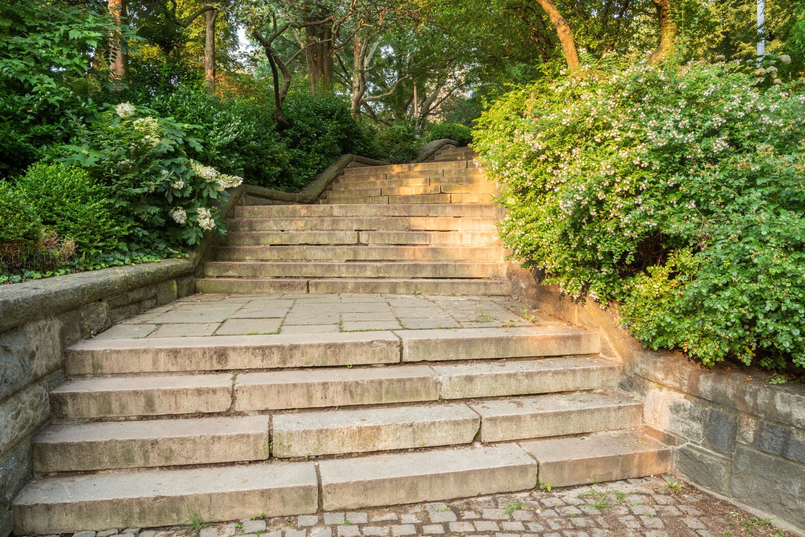 Carl Schurz Park’s terraced terrain and rich plantings make it attractive to birds and an interesting visit for birders. Photo: James Andrews (Shutterstock license)