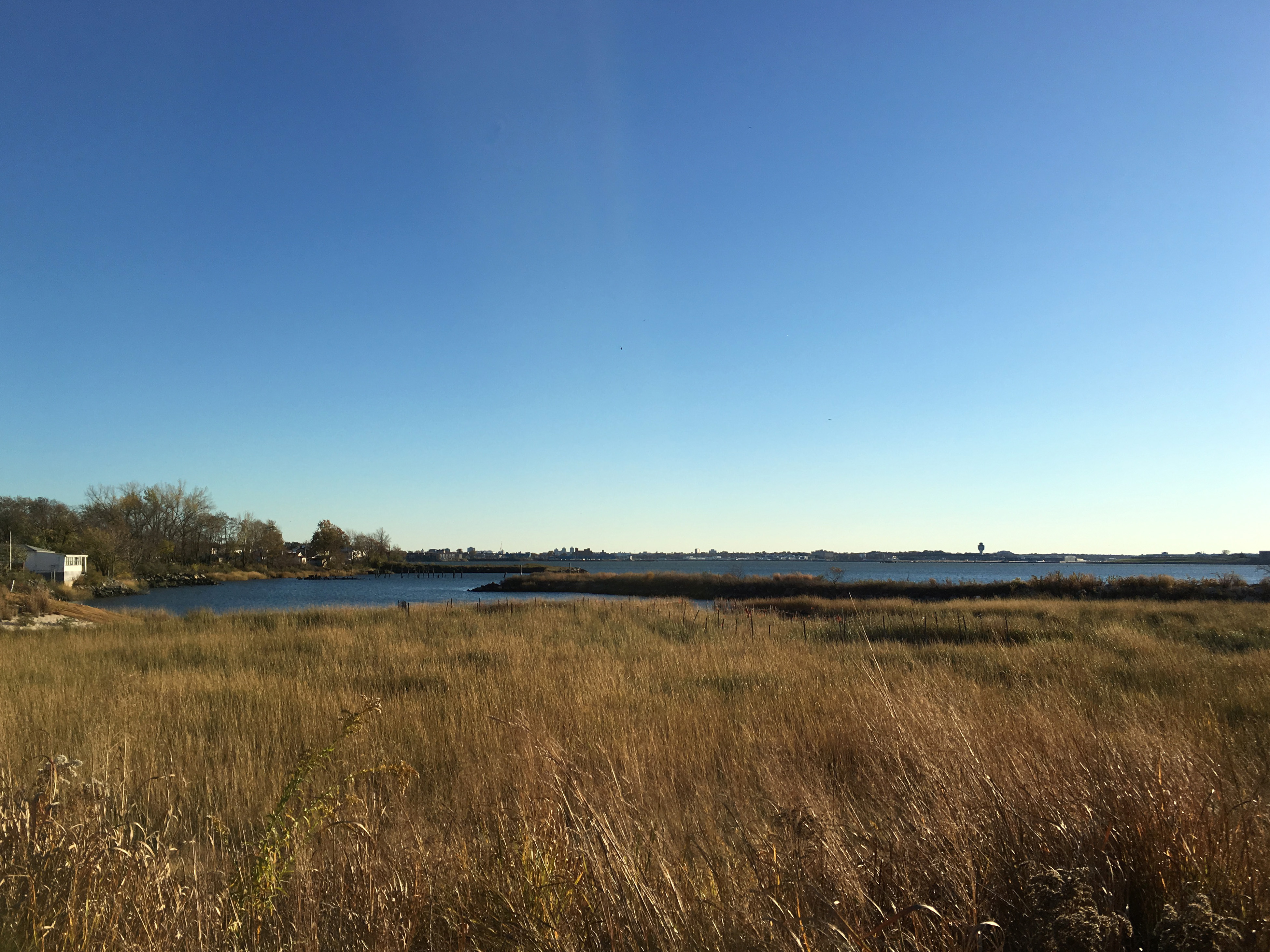 The salt marshes of Sound View Park are visited by egrets and night-herons, as well as fish-hunting Osprey. <a href="https://www.flickr.com/photos/rbs10025/23062712701/" target="_blank">Photo</a>: Robert/<a href="https://creativecommons.org/licenses/by-nc-nd/2.0/" target="_blank">CC BY-NC-ND 2.0</a>