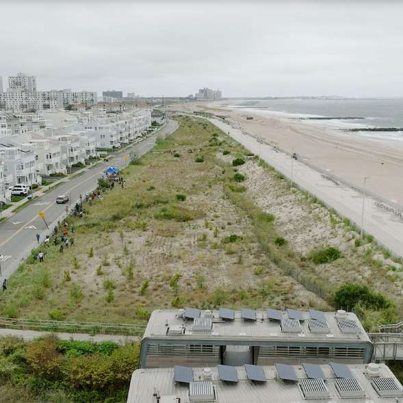 Join RISE and Surfrider for a hands-on dune restoration event as part of the "Greater Rockaway" Coastal Resilience Plan. Photo: Surfrider Foundation