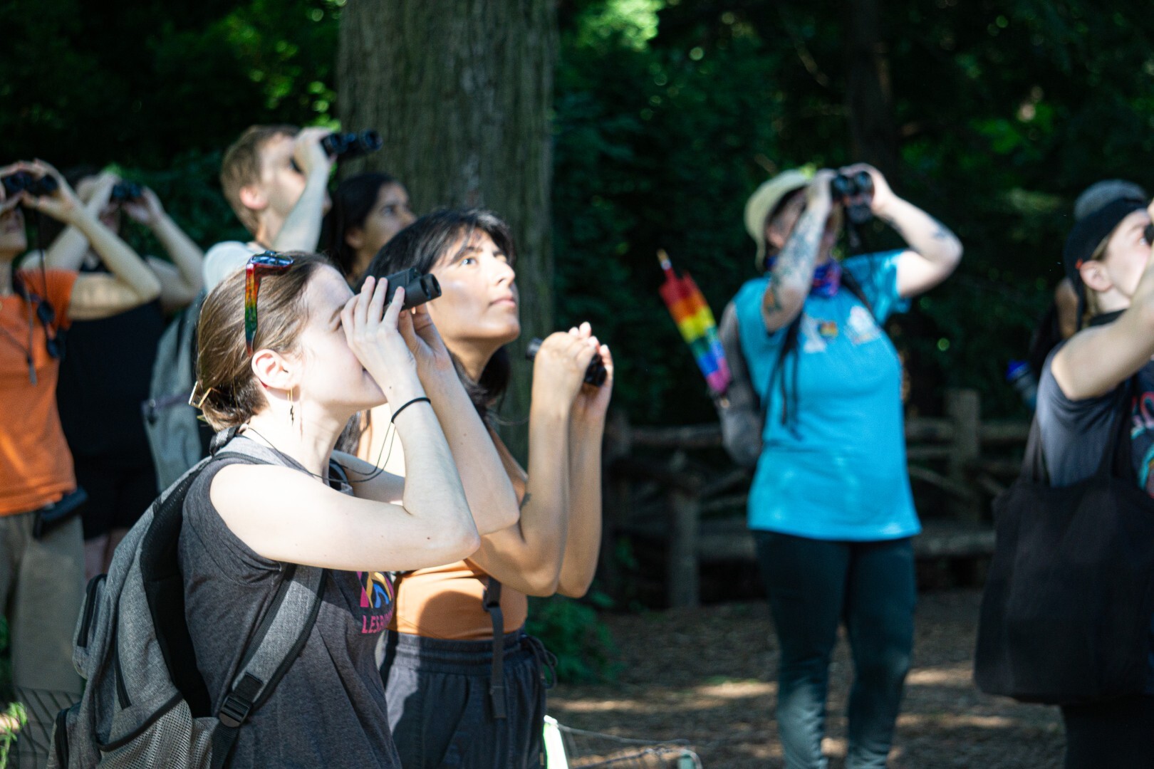 Let's Go Birding Together outing in Central Park. Photo: NYC Bird Alliance