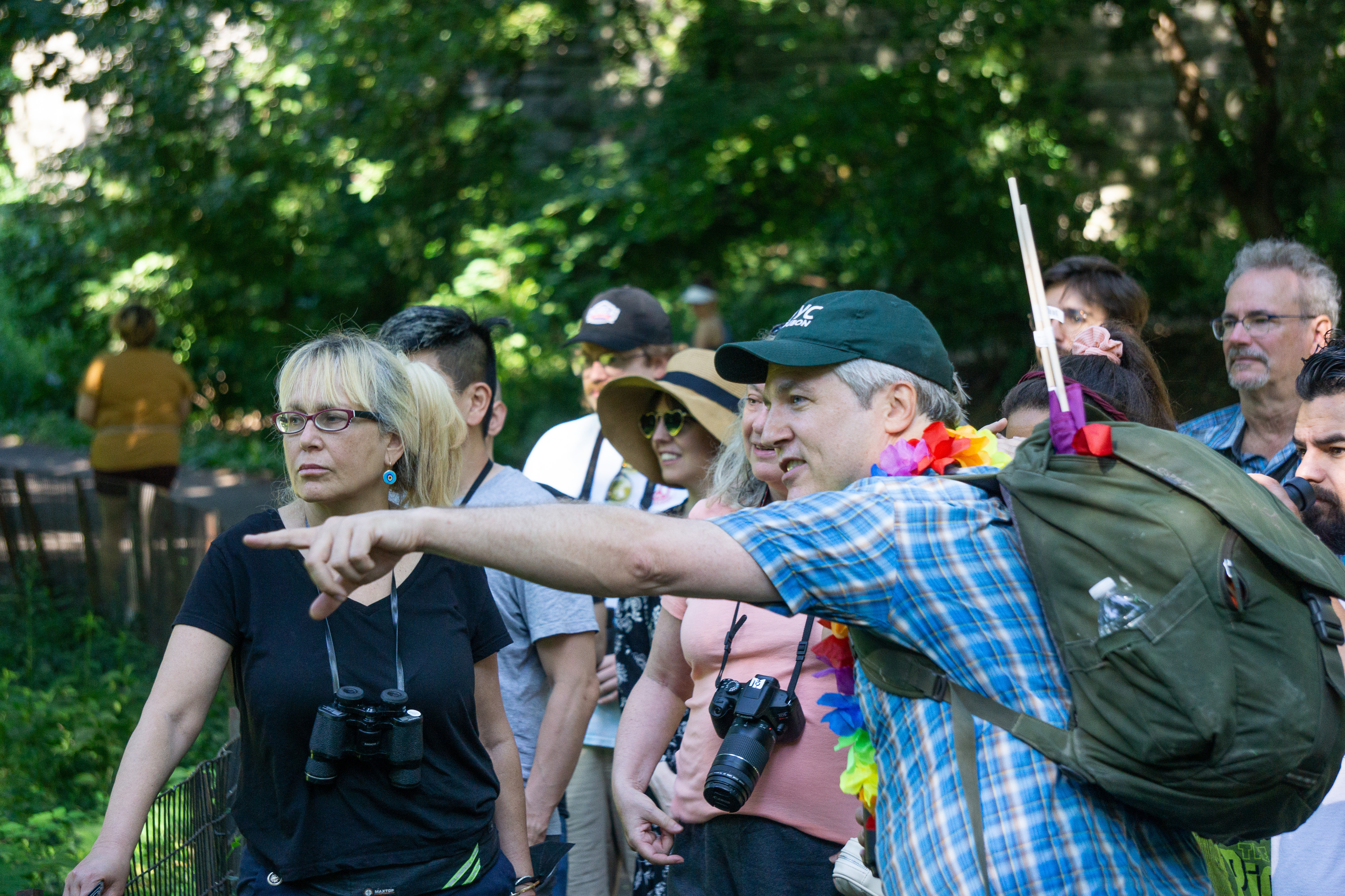 Bird guide Tod Winston points out a covert bird in Central Park during the annual Pride month Let’s Go Birding Together outing. Photo: NYC Bird Alliance