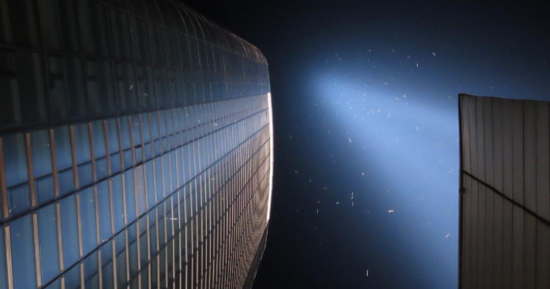 Birds seen caught in the Tribute in Light annual memorial. Photo: Elias Markee-Ratner