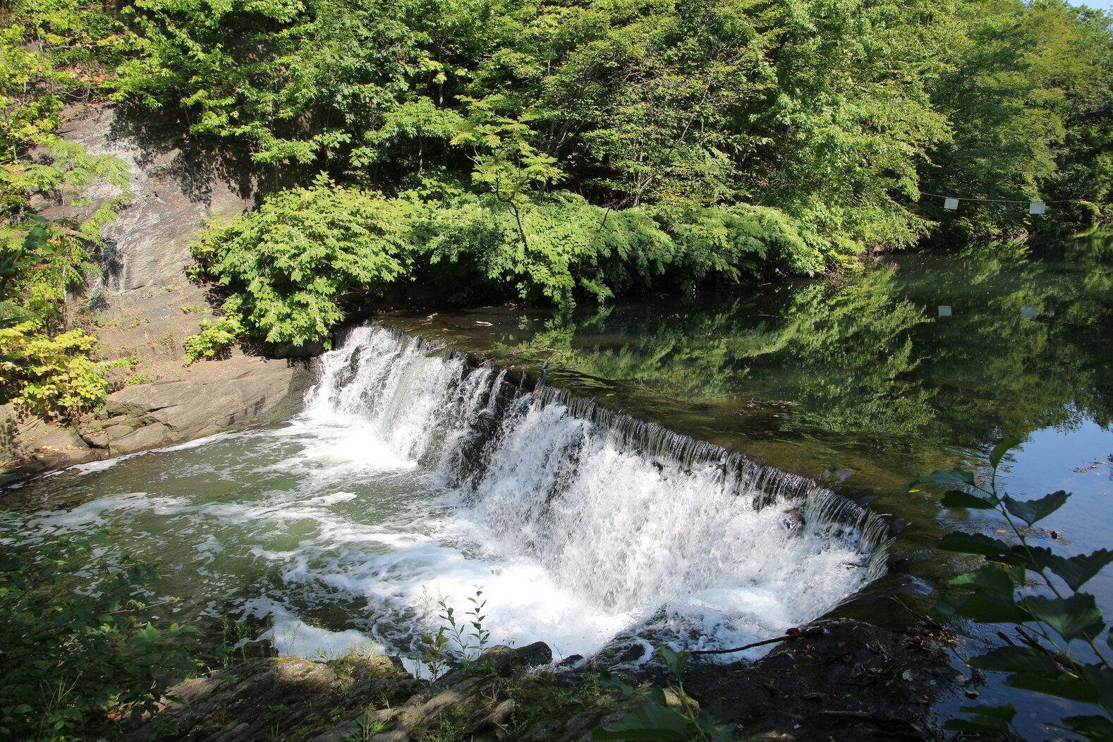 An untamed section of the Bronx River passes through the middle of The New York Botanical Garden. Photo: artcticpenguin/CC BY-NC 2.0