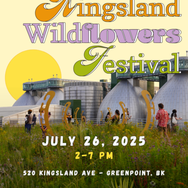 Join us at the 9th Annual Kingsland Wildflowers Festival atop Broadway Stages.