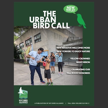 Fall 2024 Urban Bird Call Cover featuring a NYCHA in Nature bird outing.