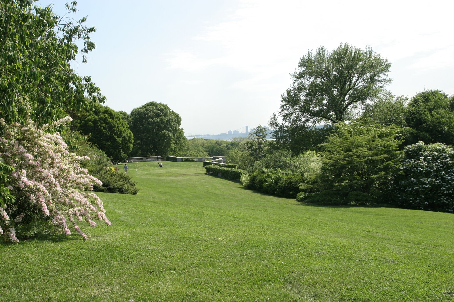 The lush and diverse plantings of Wave Hill provide excellent habitat for both migrating and breeding birds. Photo: Howard Brier/CC BY 2.0