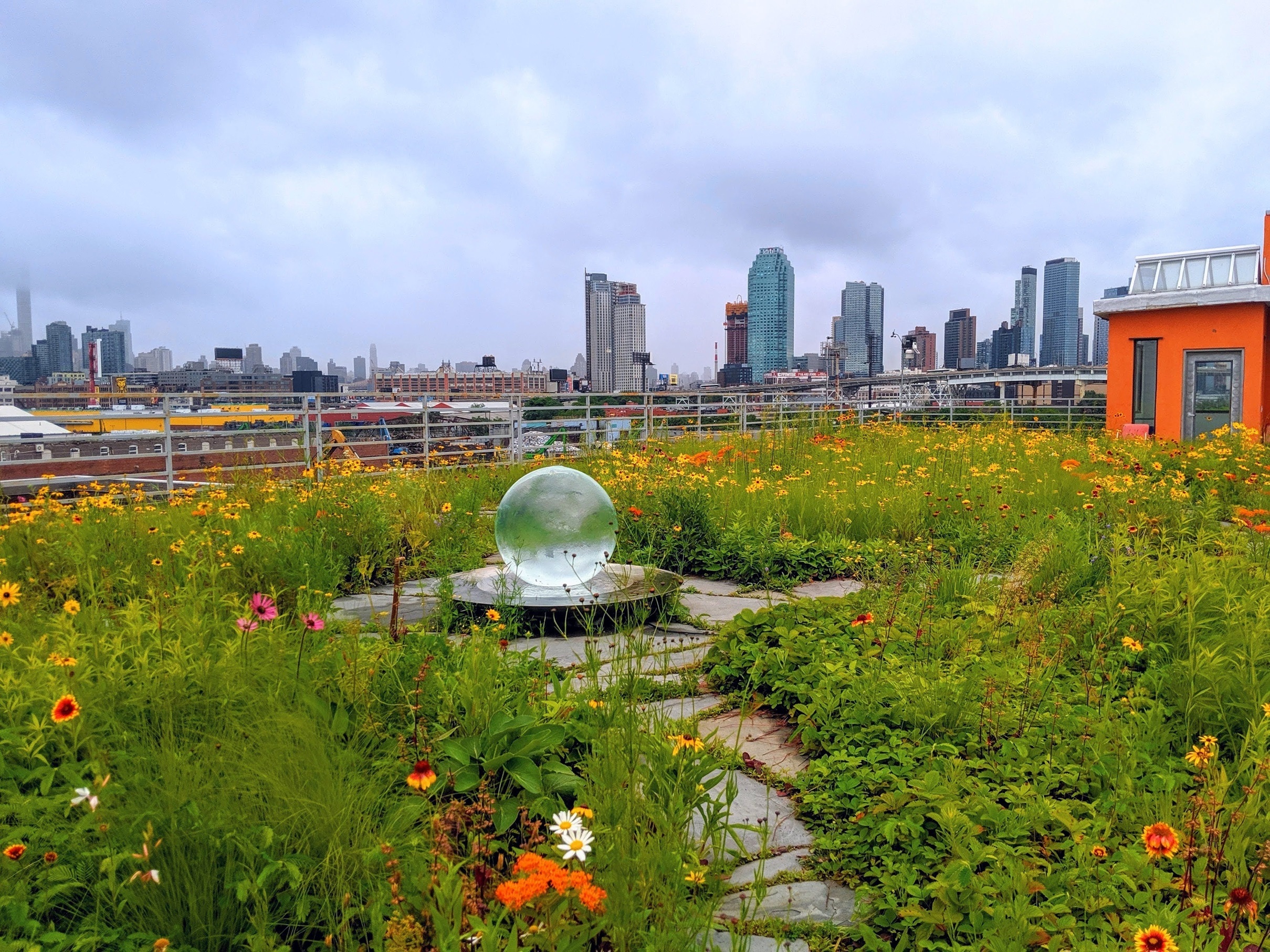 Kingsland Wildflowers at Broadway Stages, a native plant green roof in Greenpoint, Brooklyn. Photo: NYC Bird Alliance 