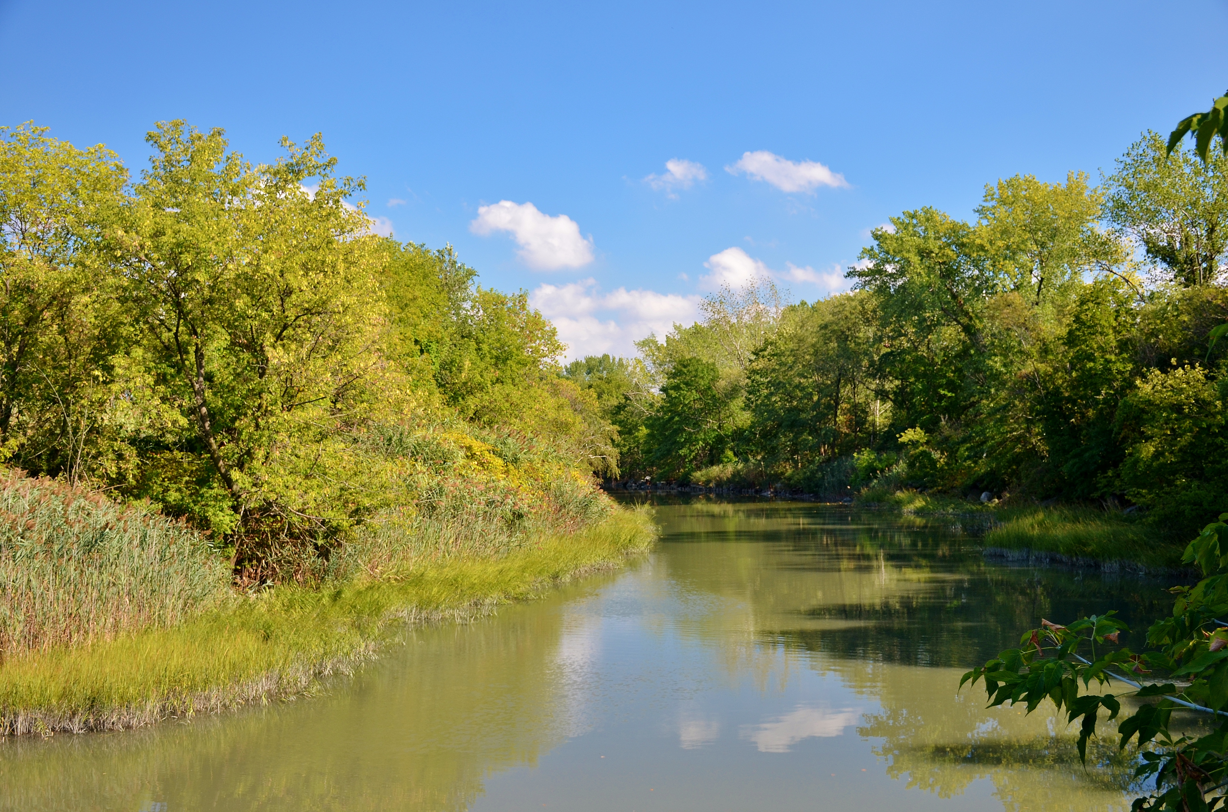 Pugsley Creek is a beautiful natural habitat in the South Bronx. Photo: <a href="https://www.flickr.com/photos/76807015@N03/" target="_blank">Gigi Altarejos</a>