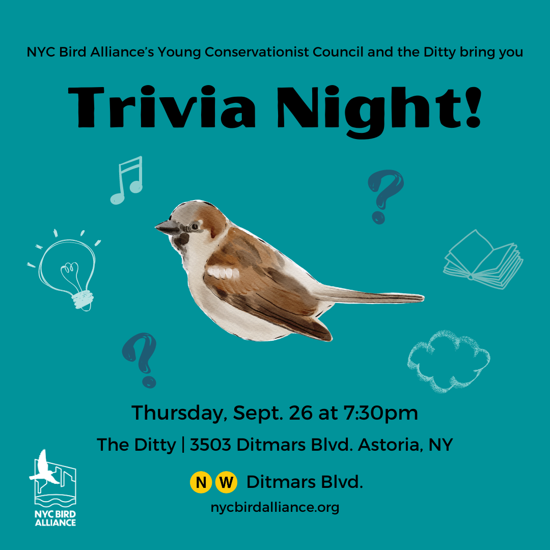 Join us for Trivia Night with our Young Conservationists. 