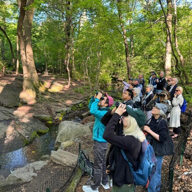 Join us this fall on dozens of free outings. Photo: NYC Bird Alliance