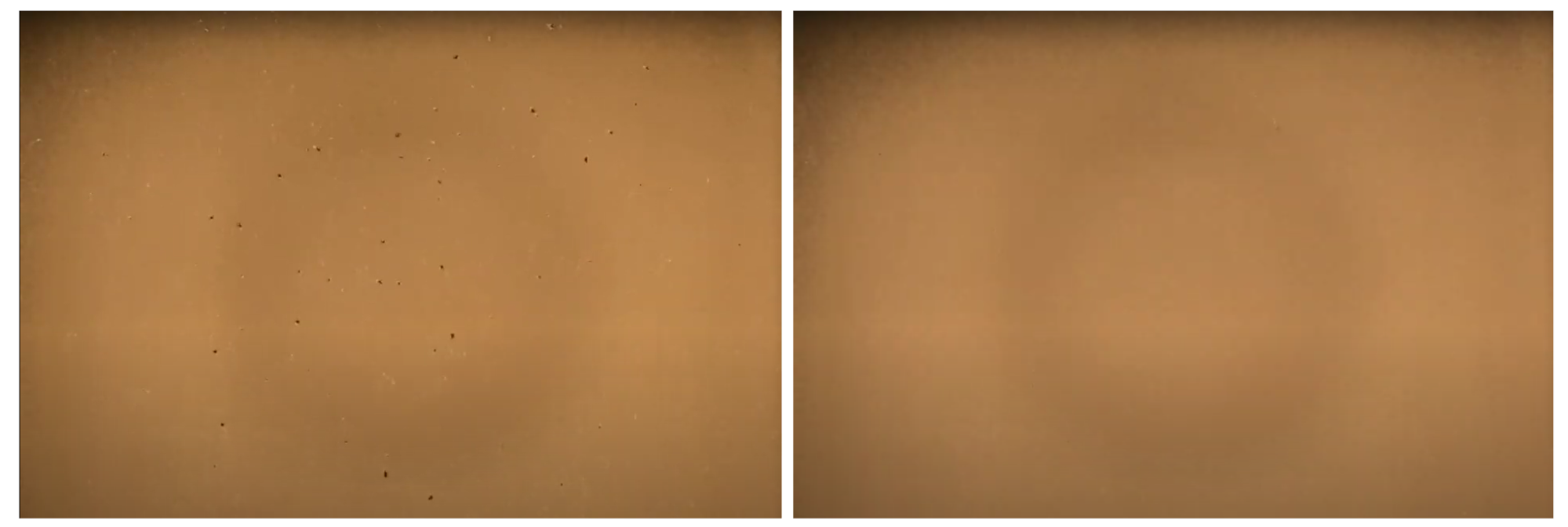 Images of the airspace in one of the twin beams captured via a thermal imaging camera. The left image shows birds, the small black dots, flying in the beams right after the lights had been turned off completely. In less than 2 minutes, all of the birds had dispersed (right image).